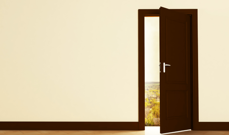 DOOR SALES